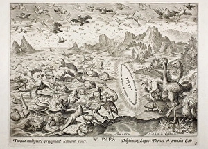 1674 Animal Creation According to Genesis 1674 Animal Creation According to Genesis