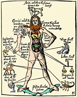 Ptolemy (2Nd Century AD) Nastronomer Mathematician And Geographer Of  Alexandria Ptolemy Guided By The Muse Of Astronomy Using A Quadrant To  Measure