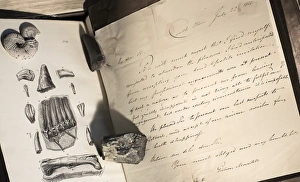 1822 Gideon Mantell Letter Castle Place 1822 Gideon Mantell Letter Castle Place