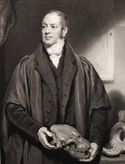 1833 Reverend William Buckland fossils 1833 Reverend William Buckland fossils
