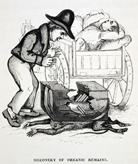 1836 Organic remains early fossil cartoon 1836 Organic remains early fossil cartoon
