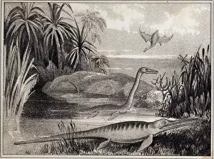 Restoration Gallery: 1837 Extinct prehistoric animals Dorset