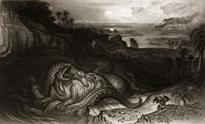 1838 Megalosaurus and Iguanodon by Martin 1838 Megalosaurus and Iguanodon by Martin
