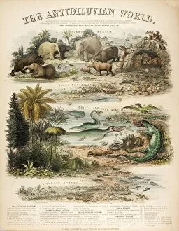Iguanodon Collection: 1849 The antidiluvian world by reynolds