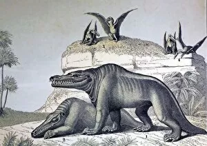 Restoration Gallery: 1862 Megalosaurus reconstruction