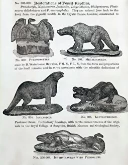 Iguanodon Collection: 1866 Waterhouse Hawkins model dinosaurs