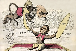 1878 Darwin as a circus monkey by Gill 1878 Darwin as a circus monkey by Gill
