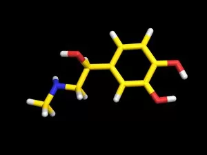 Images Dated 6th September 2002: Adrenaline molecule