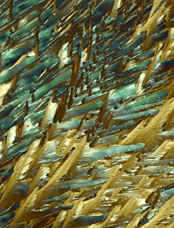 Adrenaline, polarized light micrograph Adrenaline, polarized light micrograph