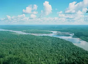 Images Dated 24th March 2005: Aerial view of Rio Napo, eastern Equador