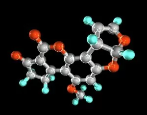 Aflatoxin, molecular model
