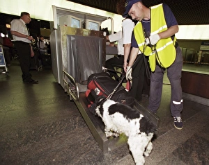 Detecting Gallery: Airport security, explosives detection
