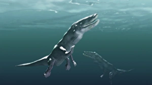 Progenitor Gallery: Ambulocetus, whale precursor, artwork