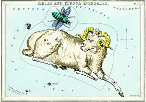 Images Dated 14th August 2009: Aries and Musca Borealis constellations