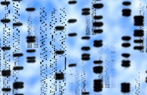 Artwork of an autoradiogram showing DNA sequences Artwork of an autoradiogram showing DNA sequences