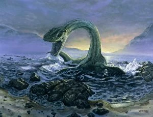 Images Dated 20th August 1997: Artwork of Elasmosaurus, a marine dinosaur