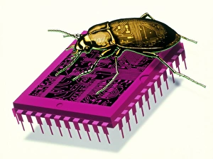 Artwork of millennium bug with beetle on microchip Artwork of millennium bug with beetle on microchip