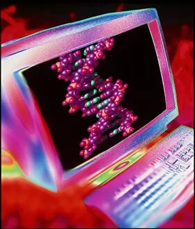 Images Dated 11th February 1999: Artwork respresenting computer-aided DNA design
