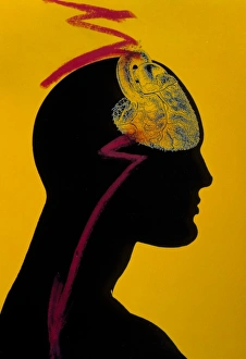 Artwork of silhouette with heart in brains place Artwork of silhouette with heart in brains place