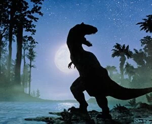 Images Dated 28th September 1992: Artwork of a Tyrannosaurus seen at night