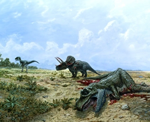 Artwork of Tyrannosaurus & Triceratops dinosaurs Artwork of Tyrannosaurus & Triceratops dinosaurs