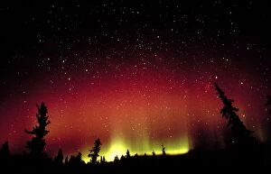 Images Dated 19th July 2000: Aurora borealis