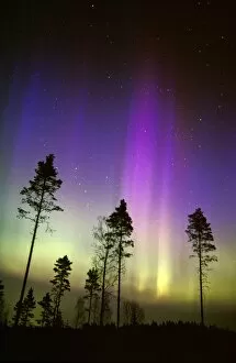 Images Dated 11th February 2003: Aurora borealis
