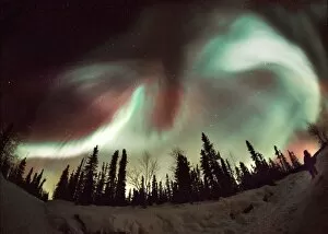 Images Dated 20th February 2001: Aurora borealis