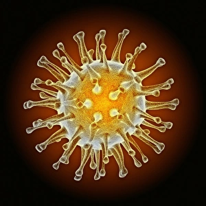 Avian influenza virus, computer artwork Avian influenza virus, computer artwork