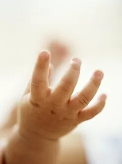 Images Dated 6th February 2004: Baby boys hand