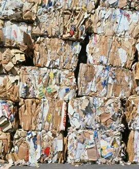Bales of carboard and paper for recycling