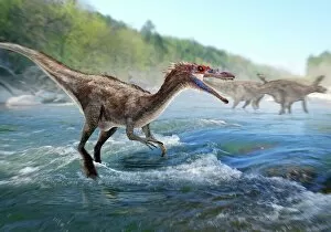 Images Dated 10th February 2011: Baryonyx dinosaur