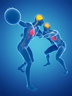 Two basketball players, artwork F007/6086 Two basketball players, artwork F007/6086