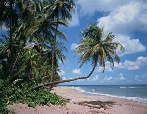 Images Dated 4th February 1991: Beach on Grenada