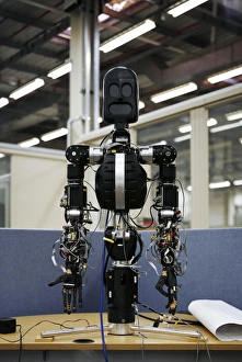 Robotic Gallery: BERT2, humanoid robot