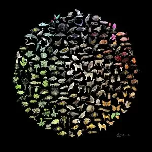 Images Dated 7th November 2014: Biodiversity Color Wheel