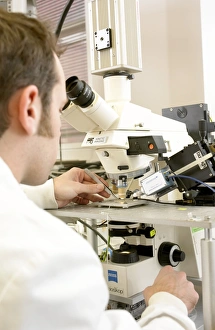Microscope Examination Prints: Biologist using a microscope