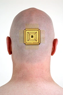 Cybernetic Gallery: Bionic chip, conceptual image