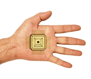 Cybernetic Gallery: Bionic chip, conceptual image C013 / 9868