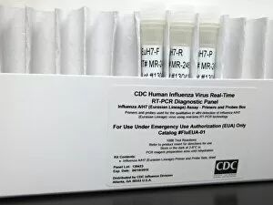Bird flu diagnostic kit C015/8805