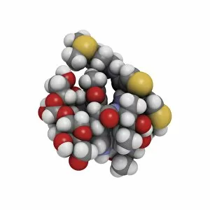 Bleomycin drug molecule F005 / 6675