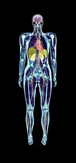 Bones Gallery: Full body scan, MRI scan