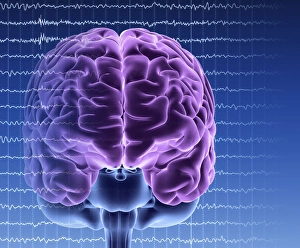 Cybernetic Gallery: Brain activity, artwork F006 / 4630