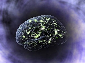 Impulses Gallery: Brain activity, computer artwork
