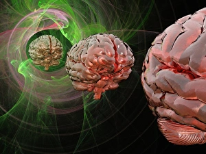 Cybernetic Gallery: Brain activity, conceptual artwork C013 / 9962