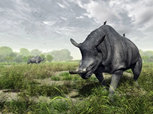 Brontotherium, artwork Brontotherium, artwork