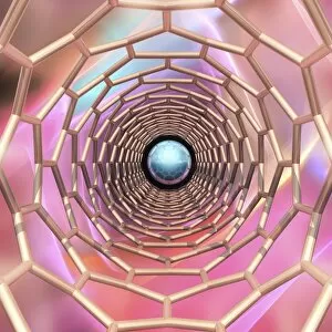 Nanotechnology Gallery: Buckytube, artwork F008 / 3352
