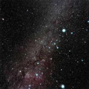 Night Sky Gallery: Canis Major constellation