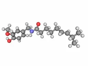 Images Dated 16th March 2009: Capsaicin molecule