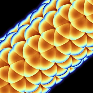Nanotechnology Gallery: Carbon nanotube F007 / 9900